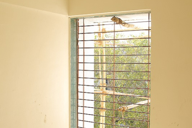 img-4